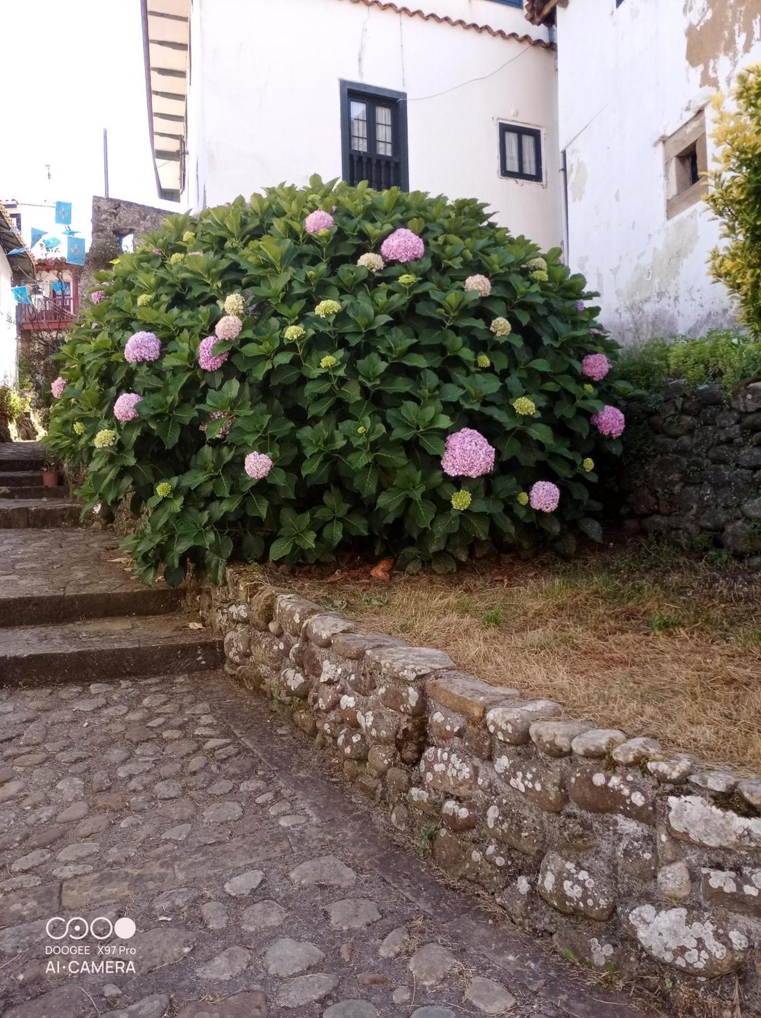 Appartamento Tazones 79 Vut6993As Esterno foto
